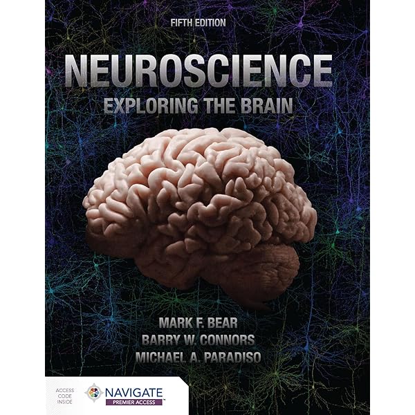 Neuroscience : Purves, Dale, Augustine, George, Fitzpatrick, David