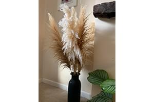 TSHÙ Natural Dried Large Pampas Grass, 47 inches/120 cm tall 6 stems, Extra Large and Fluffy, ideal for minimalism, rustic, boho Home Decor and Weddings, Parties | Natural Beige
