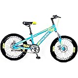 hero flake 20t 6 speed cycle price