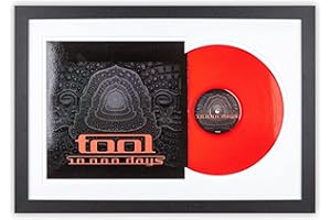 SOOBSOO Schallplatten Rahmen - Schwarz-Weiß-4 - LP-Cover und Vinyl Bilderrahmen mit Doppel-Passepartout für 1er-, 2er und 3er LPs