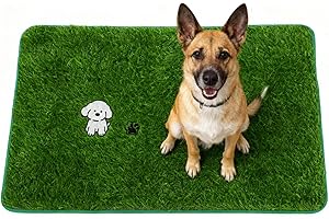 OPLERT Tapis d'herbe Artificielle pour Chiots, Toilettes pour Chiens, Dressage des Chiots, pour l'intérieur et l'extérieur,46x71cm