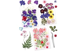 Cinvo 68 unids real estampado seco y hojas de pétalos secos naturales hacer velas con pinzas resina joyería jabón uñas colgantes caso teléfono artesanía