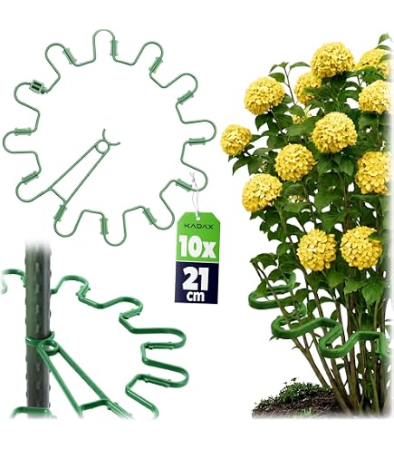 günstig geschirr kaufen Mäser Nottingham Set 20 tlg. Grün Ikea geschirr