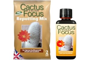 GREENLIGHT GUYS Cactus Focus 2 Litre Repotting Mix & 300ml Feed
