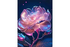 Lunyloer 5D Diamond Painting Set, DIY Full Diamant Malen nach Zahlen, 5D Malen nach Zahlen Diamant Anfänger Erwachsene für Home Wand Décor 30x40cm