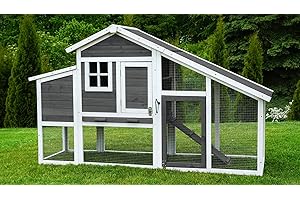 Miweba my animal Poulailler MH-32 XXL avec pondoir - Bois de pin - Résistant à l'hiver - Enclos à Deux Niveaux - Nichoir - Maison pour Poules - Volière pour Poules - Cage à Poules