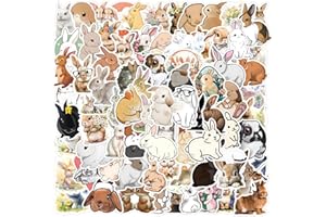 AUCEKO Juego de 100 pegatinas de conejo, pegatinas de vinilo impermeables para ordenador portátil, niños, motos, bicicletas, patinetas, equipaje, maleta, ordenador, pegatinas de graffiti