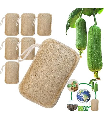 Spugne Naturali VERDEPIOGGIA - 2 Pezzi Luffa E Cellulosa, Ecologiche E Biodegradabili Per Cucina - Foto 11