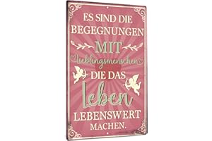 Putuo Decor Es Sind Die Schilder Retro, vintage deko Metallschild Sprüche Schilder, Dekoration Wohnzimmer Hof Wanddekoration, 20x30cm