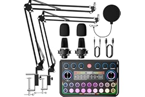 SINWE Podcast-Set für 2 Personen,Audiomischer mit Mikrofonen für Smartphone & PC,All-in-One DJ-Equipment,Plug-and-Play,Ideal für Streaming, Gesang, YouTube & Gaming