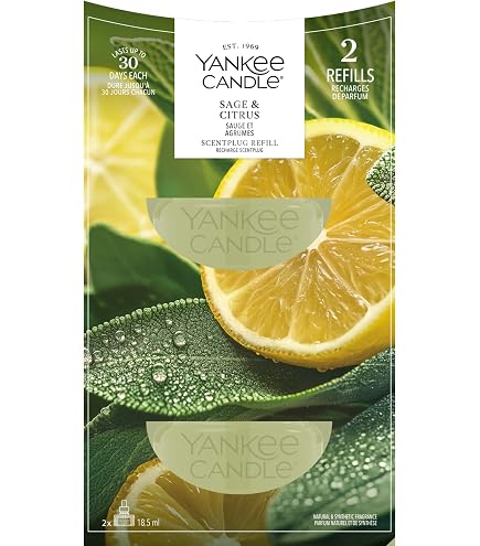 Yankee Candle Duftstecker Nachfüllung | Bayside Cedar | Für kleine bis mittlere Räume