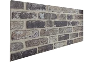 DELLEDECOR 3D Brick Effect Wall Panels Decorative Wall Ceiling Tiles CLADDING POLYSTYRENE Panel Tile 50x100cm (ST110)