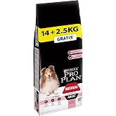 PRO PLAN Medium Somonlu Kuru K&ouml;pek Maması, Yetişkin, 14 kg + 2.5 kg Hediye