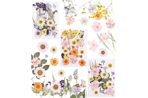 SOBEAU 66 Pezzi Fiori Secchi per Resina,Utilizzato per lo Styling Secco del Fiore Fai da te, la Decorazione Dell'album e l'imballaggio Del Regalo