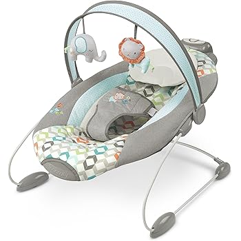 ingenuity smartbounce automatic bouncer cambridge