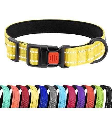 Reflektierendes Hundehalsband Aus Nylon – Verstellbar 35–50 Cm, Weich & Atmungsaktiv, Mit Schnellverschluss, Für Kleine & Mittelgroße Hunde (Schwarz)