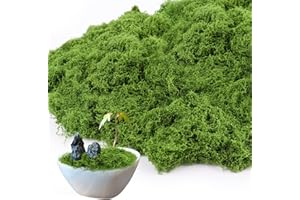 TDUNSYA Muschio Stabilizzato 100g - Lichene Artificiale per Decorazioni, Riutilizzabile per Modellismo, Acquari, Casa (Verde Scuro)
