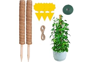 HEPODA 2 Pezzi Sostegno Monstera Supporto Piante 50cm Bastone per Piante Rampicanti Tutore Muschiato per Piante Totem Palo di Cocco Monstera Interno Giardino