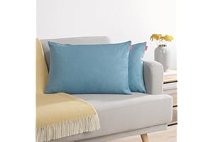 Blumtal Juego de 2 Funda para Cojín de Chenilla - Fundas Decorativas de cojín para sofá con Cremallera Cubierta, Azul, 40 x 60 cm