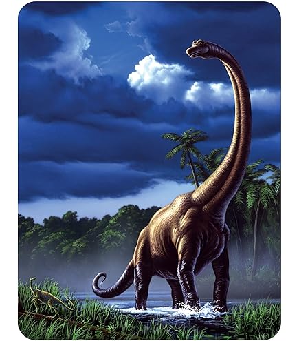 Deluxebase Magnet 3D LiveLife - Regard De Suricates De Aimant Lenticulaire Puissant Pour Frigo 3D Safari. Magnet Décoratif Enfants & Adultes