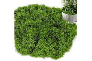 TLDNZXY 200g Kunstmoos zum Dekorieren, Kunstmoos zum Basteln, Künstliches Moos Deko, Kunst Moos, Fake Dekomoos Bastelmoos DIY für Wand Krippe Aquarium Krippe Modellbau (grün)