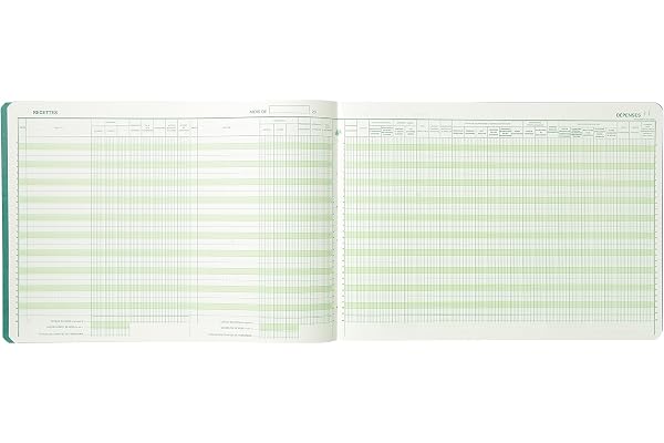 Exacompta - Réf. 9620E - 1 Piqûre Journal des Recettes Dépenses des Professions libérales - 80 pages foliotées - format 270 x 380 mm - 4 couleurs aléatoires, jaune, bleu, rouge, vert