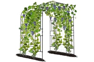 SUNYRISY Große Gartenbogen für Kletterpflanzen Rankhilfe, 240cm Hoher PE Beschichtete Metallhalterung mit Ranknetz, Rankbogen Rankgitter für Luffa, Gurke, Rosenbogen Kletterpflanzen im Freien