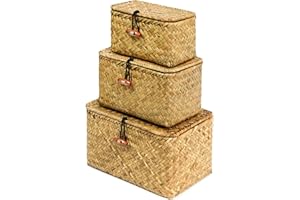 FEILANDUO Juego de 3 cestas de estante con tapa, caja de almacenamiento de hierba marina tejida a mano, cesta de mimbre, organizador de maquillaje de escritorio, contenedor multiusos (original (S/M/L)