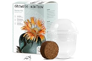 HAPPYSEED GROW2GO Kit de culture de cactus - Set de plantation de mini-serre, graines de cactus et terreau - idée cadeau durable pour les amoureux des plantes (Pleiospilos Nelii)