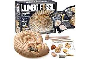 Byncceh Kit di scavo con 12 fossili Veri, Fossili da Scavare, Giochi Archeologia per Bambini +6 Anni, Scavare fossili con Martello e scalpello, Regalo per Bambini
