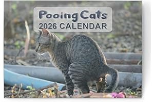 evelay Calendario 2026 A4 divertente gatto Pooping calendario mensile A3 quando aperto da parete planner famiglia casa ufficio organizzatore
