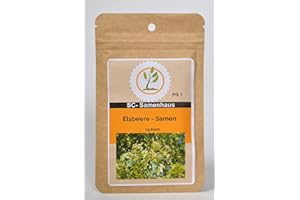 DIXIS SAMEN Elsbeere Sorbus torminalis 15 Samen