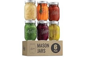 GARUET 6 Pack Mason Jars 480ml Glass Jars with Lid & Seal Bands - Airtight Container for Pickling, Canning, Candles, Home Decor, Overnight Oats, Fruit Preserves, Jam or Jelly