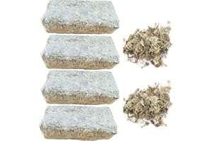 RUNSMOOTH Hierba Seca Musgo Agua 6L para orquídeas Phalaenopsis, Suelo sustrato Cultivo sin Suelo, Suministros para jardín orquídeas (6L*4)