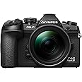 Olympus OM-D E-M1 Mark III Micro Four Thirds Systemkamera Gehäuse, 20 MP Sensor, 5-Achsen Bildstabilisierung, Leistungsstarke
