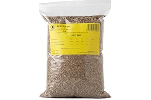 R&R SHOP - Nasiona trawnika, życica trwała, szybki i długotrwały wzrost (500gr - 20mq)