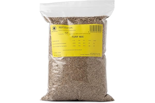 R&R SHOP - Semences pour pelouse, ray-grass vivace, croissance rapide et durable (500gr - 20mq)