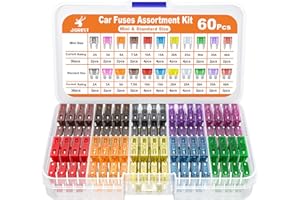 JOREST Kit 60Pcs Fusibili Assortiti - 11 Tipi per Auto/Camper/Camion/Moto (2A-40A) - 30 Mini + 30 Medio + 1 Estrattore