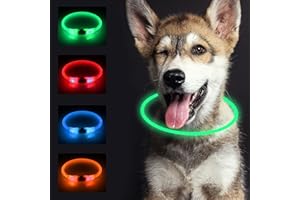 SONNIG Collare Luminoso per Cani, Collare Luminoso per Cani Ricaricabile e Regolabile con 3 Modalità di Illuminazione, Sicuro per Cani di Taglia Piccola, Media e Grande di Notte, Verde