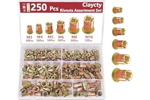 CIAYCTY 250 Pezzi Rivetti Filettati, Inserti Filettatis, Rivetti Filettati M3, M4, M5, M6, M8, M10, Rivettis per Riparazioni Professionali e Fai da Te