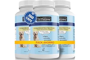 VITTALOGY Condroprotector para Perros. Antiinflamatorio Natural con Colágeno, Condroitina, Hialurónico y Cúrcuma. Complemento Alimenticio para Caderas, Articulaciones y Cartílagos. 360 Cápsulas