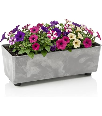 Ivyline Artstone 107833 Balkonkasten Ella, 37 x 17 x 17 cm, grau :  Amazon.de: Garten