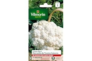 Vilmorin 3353141 Chou Fleur Merveille, Blanc, 90 x 2 x 140 cm