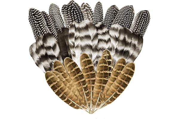 30Pcs plumes de dinde naturelles, plumes de faisan pour l'artisanat,3 styles de plumes naturelles mélangées pour la décoration de masques de carnaval et de fêtes de mariage