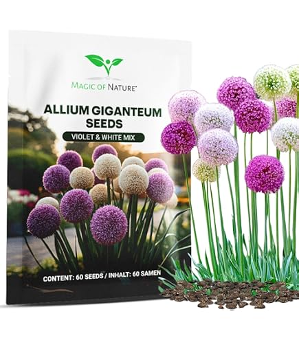 10 Rare Rattenschwanz Kaktus Samen Aporocactus flagelliformis  Atemberaubende rosa Blumen : Amazon.de: Garten