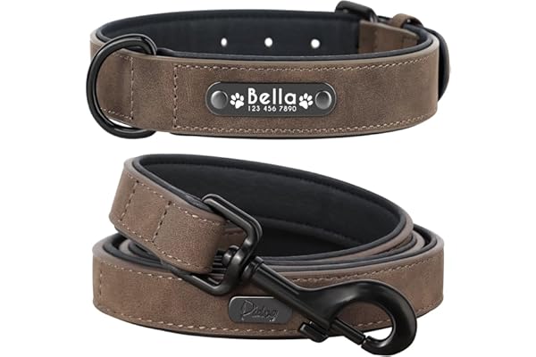 Didog Collier de Chien en Cuir Souple rembourré personnalisé, Plaque avec Gravure, Tailles Petite, Moyenne ou Grande