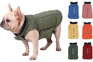 BePetMia Veste pour Chien d'hiver, Manteau avec 7 Tailles pour Petits, Moyens et Grands Chiens, Combinaison de Neige Coupe-Vent, vêtements pour Chiens à Ligne réfléchissante (S, Vert)