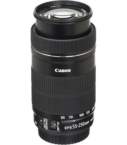 Canon EF-S 55-250 mm F4-5.6 IS STM Teleobiektyw