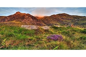 MIRRORANG 120x46cm Terrarium Fond Bleu Ciel Montagne Fleurs Sauvages Herbe Reptile Habitat Fond Durable Vinyle Fond