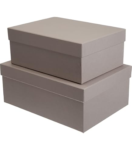 Rössler Papier 1317452908 - S.O.H.O. Classeur DIN A4 Avec étiquette à Insérer, Largeur Dos 80 Mm